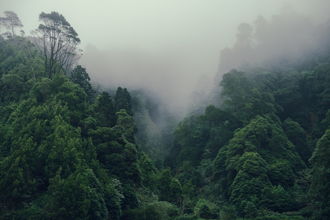 Environment category thumbnail